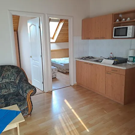 Апартаменты Alinka Apartmanhaz